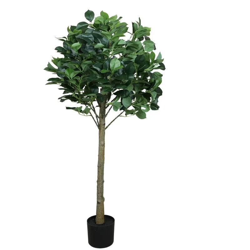 Full artificial green camelia leaf topiary plant with a black pot on a white background
