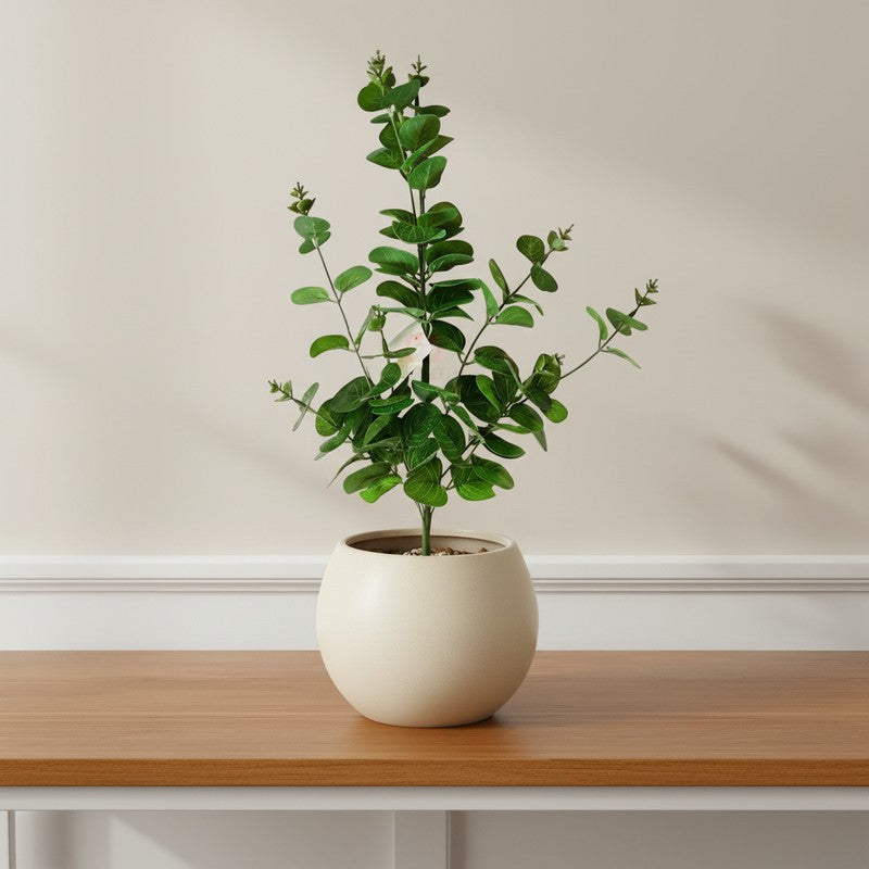 Cury-o-pla Faux Artificial Plant - 2.17 ft media 10