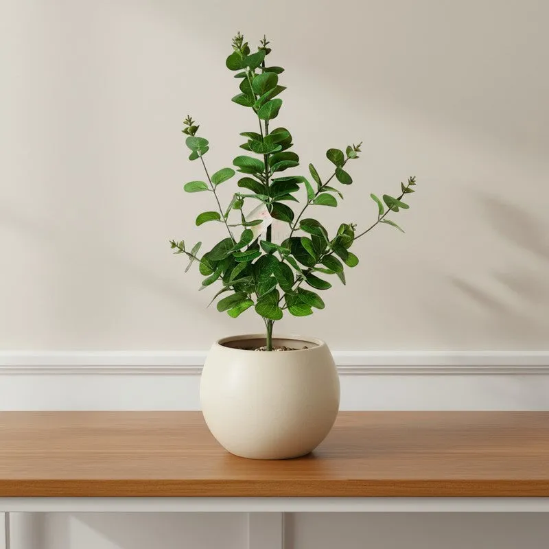 Cury-o-pla Faux Artificial Plant - 2.17 ft media 10