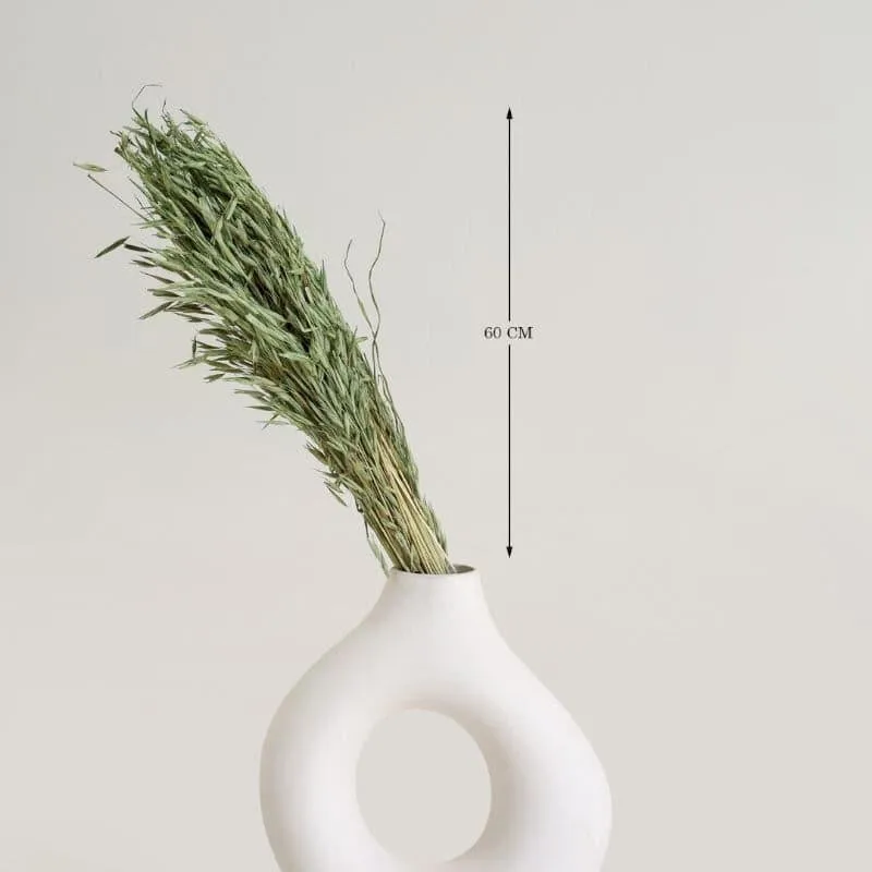 Hazo Millet Grass Dried Havana Grass Bunch - Green media 4