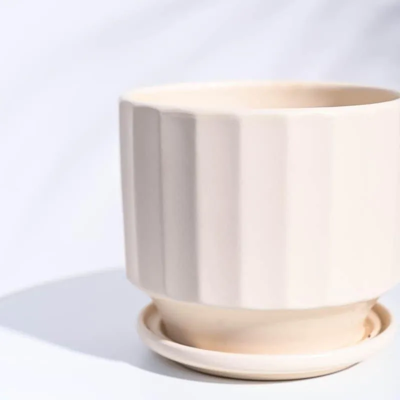 Lexie Ceramic Planter - Ivory media 5