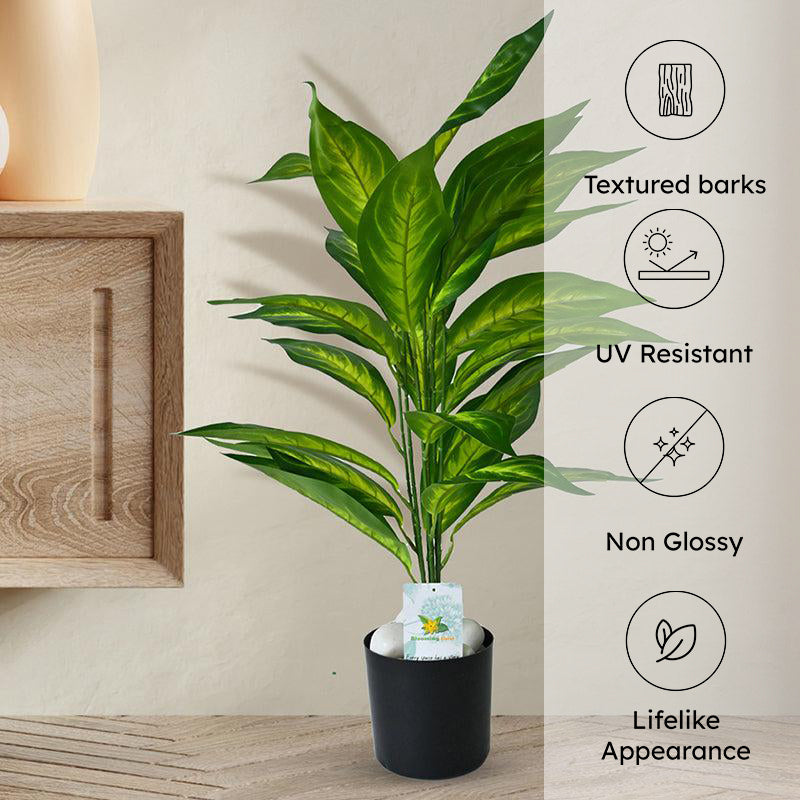 Faux Everlasting Dieffenbachia Amoena Plant With Black Plastic Pot - 71 cm (2.3 ft) media 5