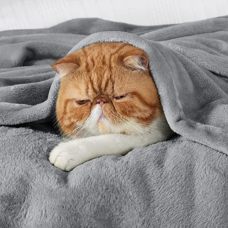 Soft Elite Blanket(Grey) - 220 GSM media 6