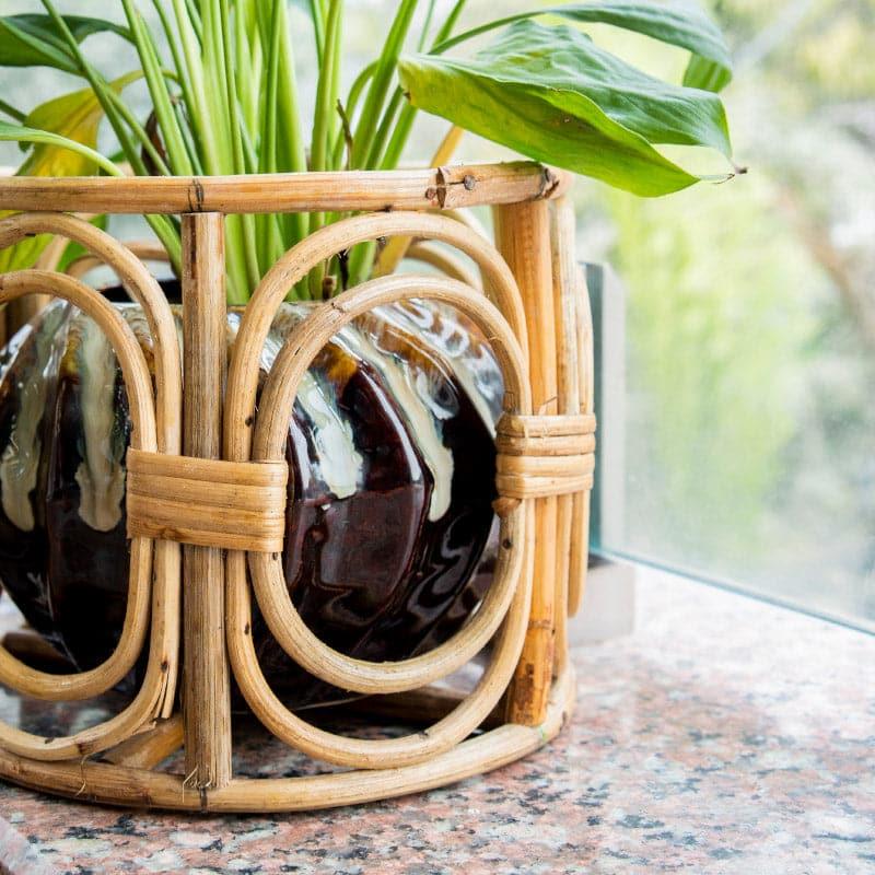 Sawyer Natural Fibre Planter media 5