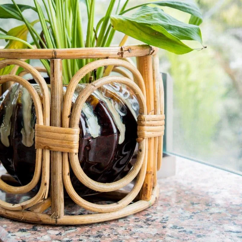 Sawyer Natural Fibre Planter media 5