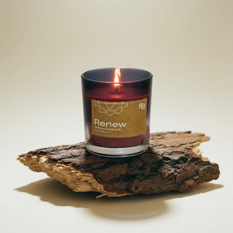 Fig Living Renew Berries Palm Wax Scented Candle media 3