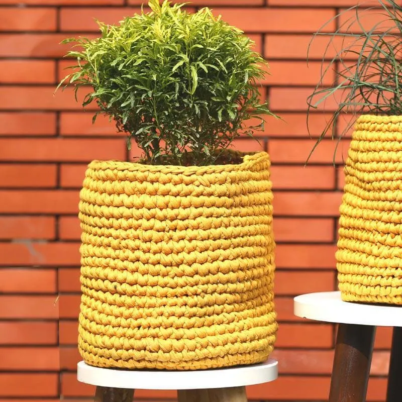 Sunshine Cotton Planter media 3