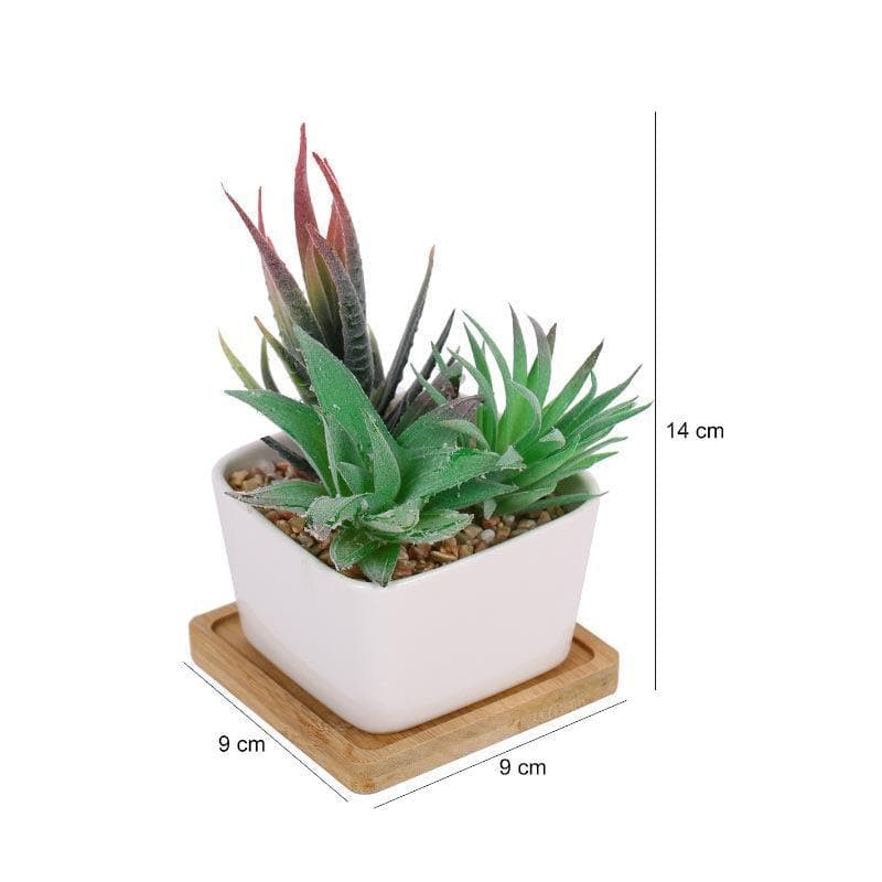 Faux Succulent Set In Square Pot - 14.5 cms media 5