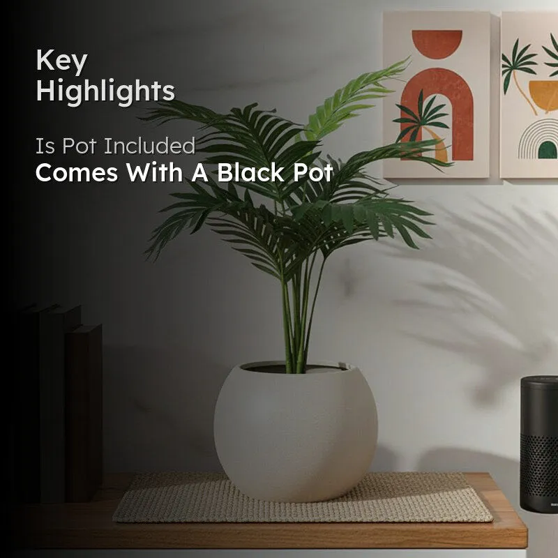 PlushPetal Artificial Areca Plant With Black Plastic Pot - 2.1 Feet media 2