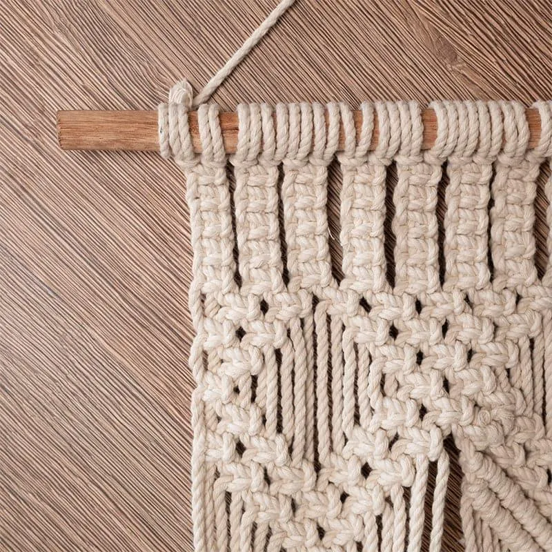 Zuri Macrame Planter media 4