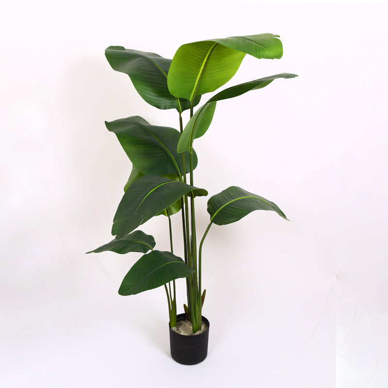 Verdiq Artificial Banana Plant With Black Plastic Pot - 5.2 Feet media 4