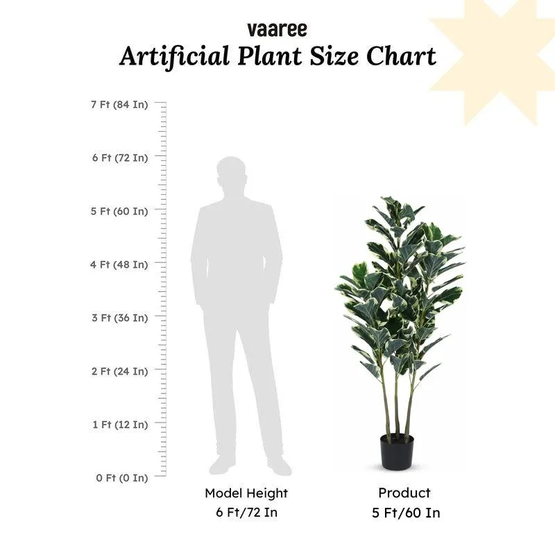 Faux Lush Variegated Fiddle Leaf Fig Plant With Black Plastic Pot - 5 Feet media 6