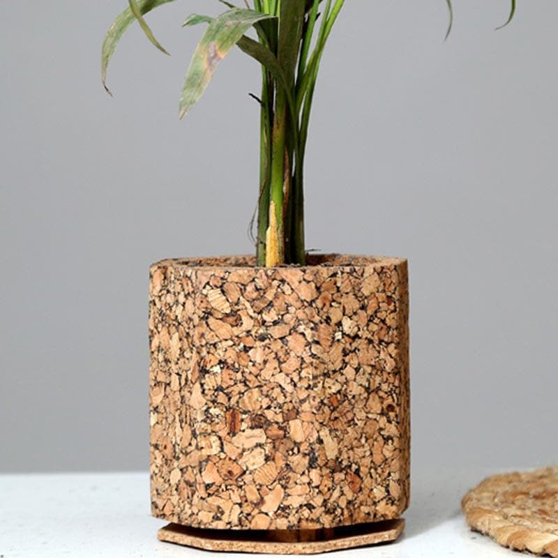 Earthy Haven Planter media 5