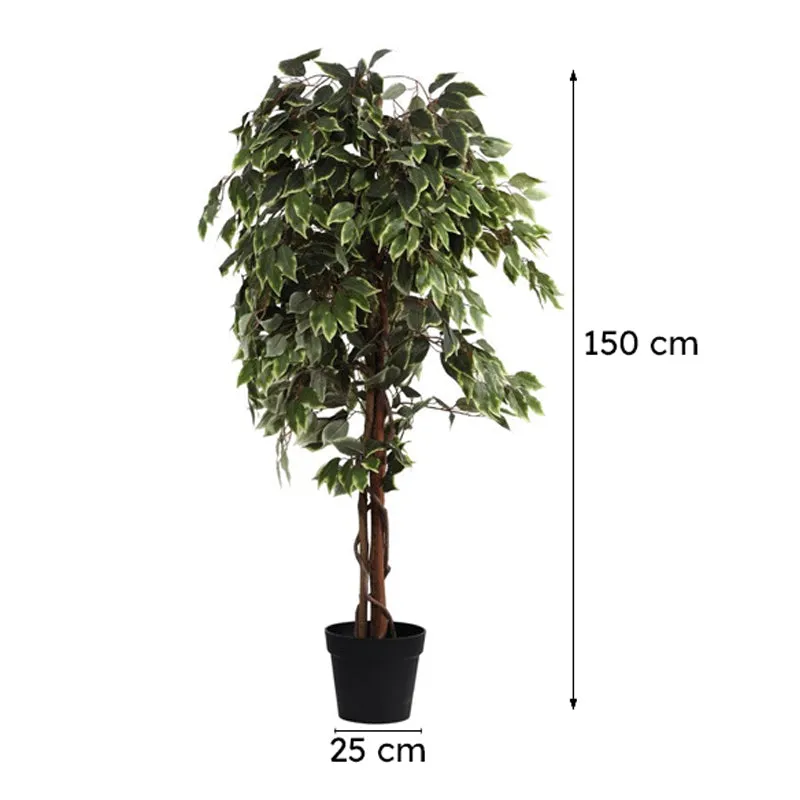 Artificial Variegated Ficus Plant With Black Plastic Pot - 5 ft media 10
