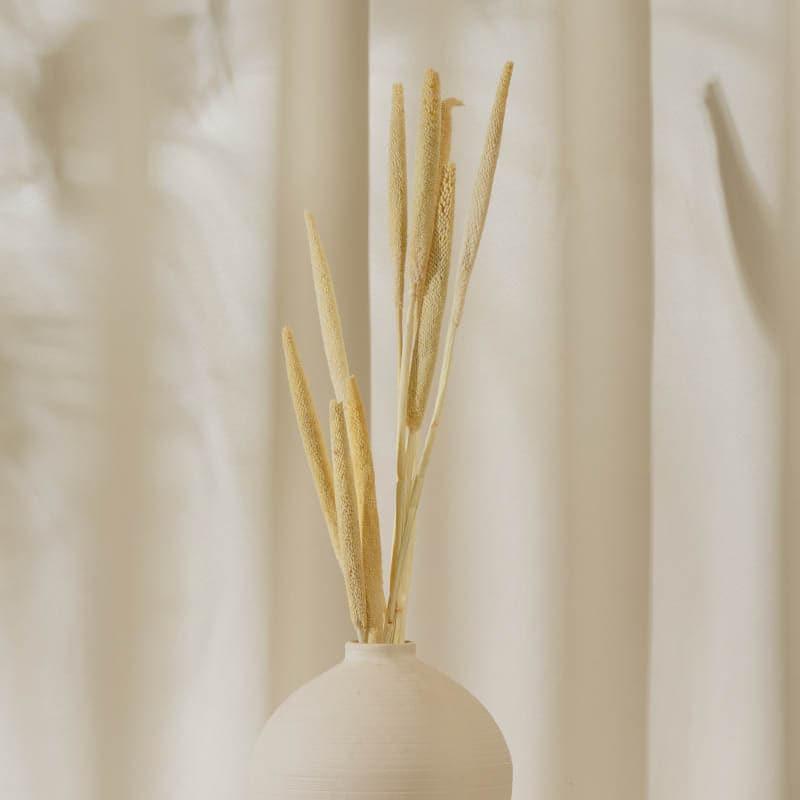 Natural Fiber