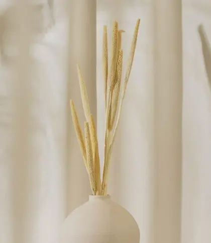 Natural Fiber