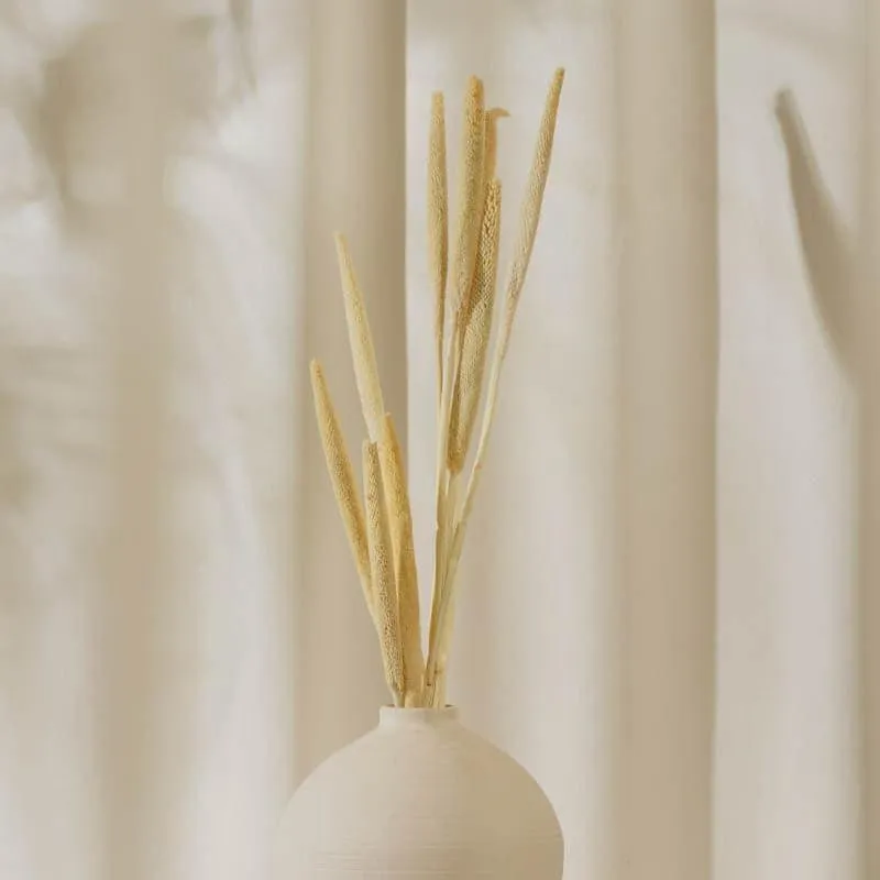 Dried Bajra Stems (2.46 ft) - Bleach media 1