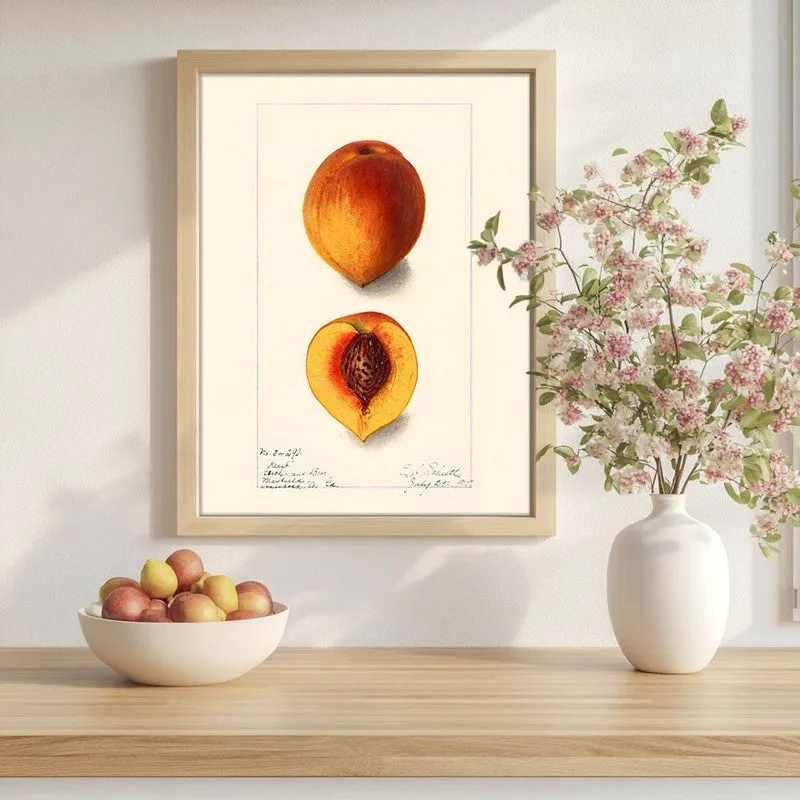 FruitAura Archival Canvas Wall Art - Brown media 1