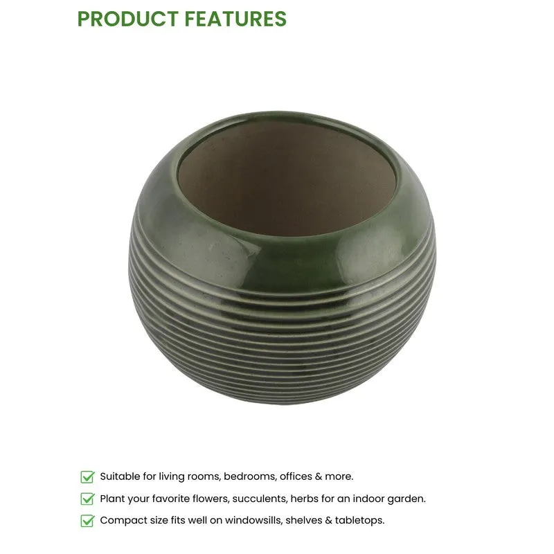 UrbanNest Pots & Planters Green media 5
