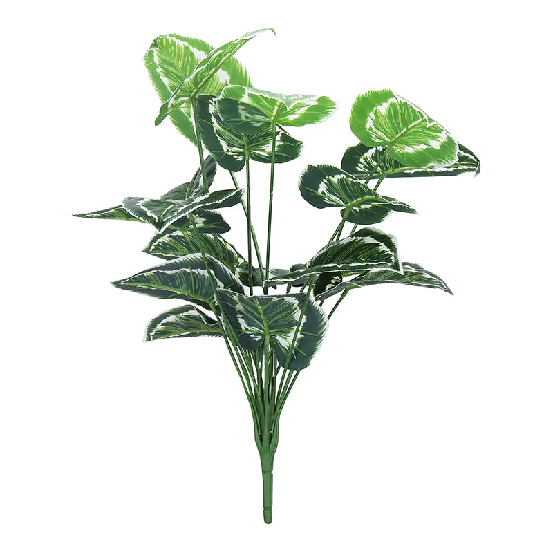Botanika Artificial Money Plant III With Black Plastic Pot (White, Green) - 2 Feet media 3