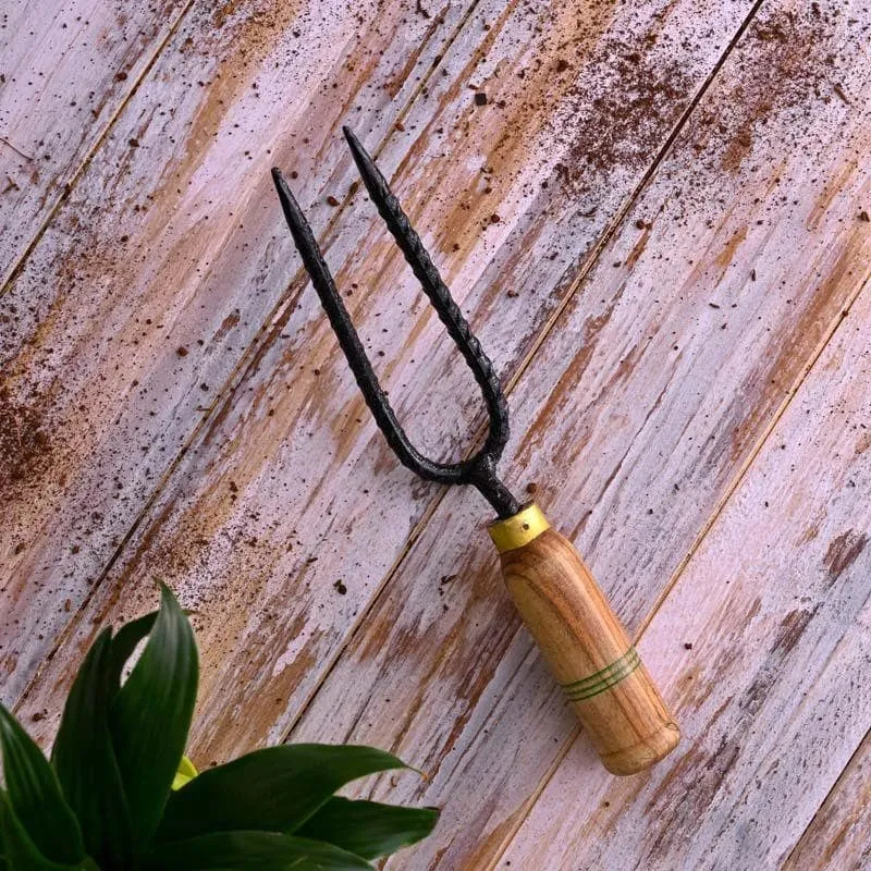 Ugaoo Double Prong Weeder media 4