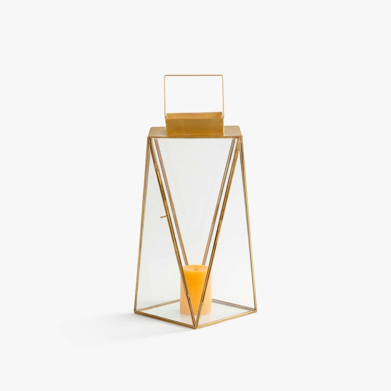 Orange Tree Alex Lantern media 11