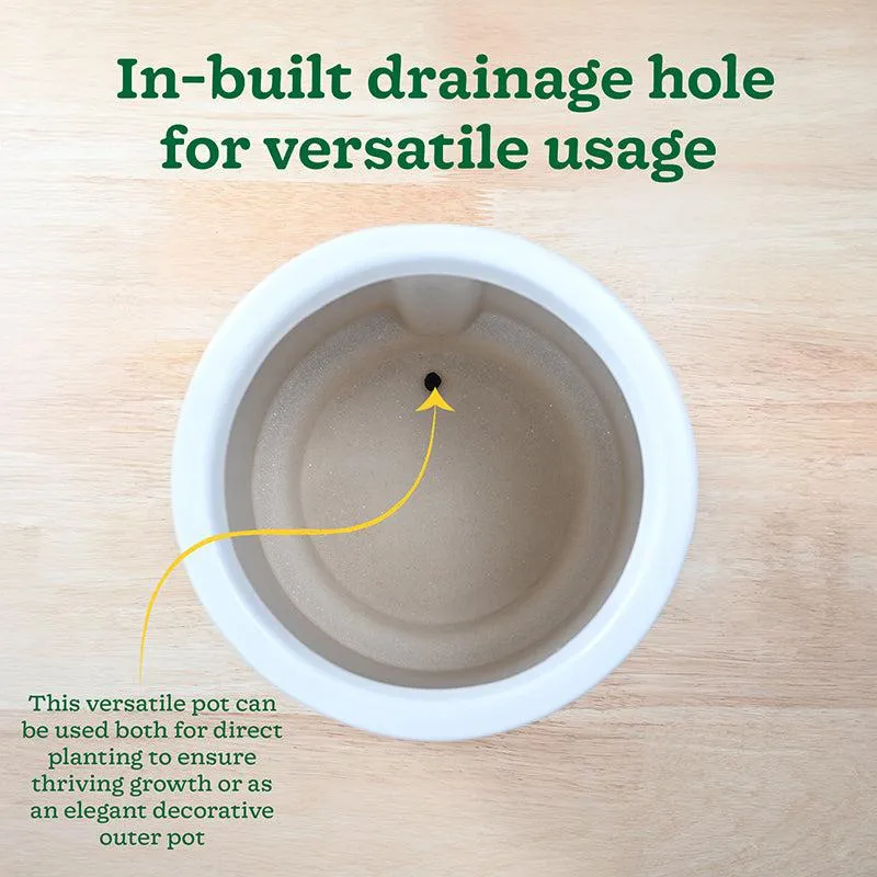 Ugaoo Duke of Drainage Ceramic Planter - White media 7
