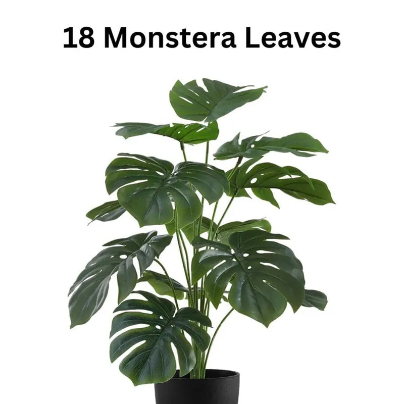 NeoBotanica Artificial Monstera Plant - 2.1 Feet media 4