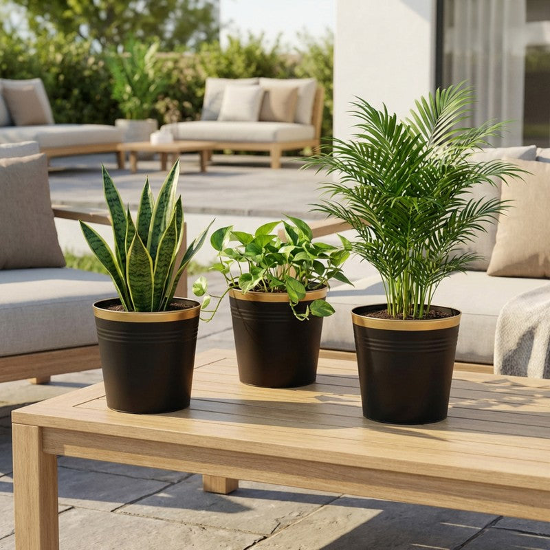 Leafora Iron Planter (Black) - Set Of Three media 4