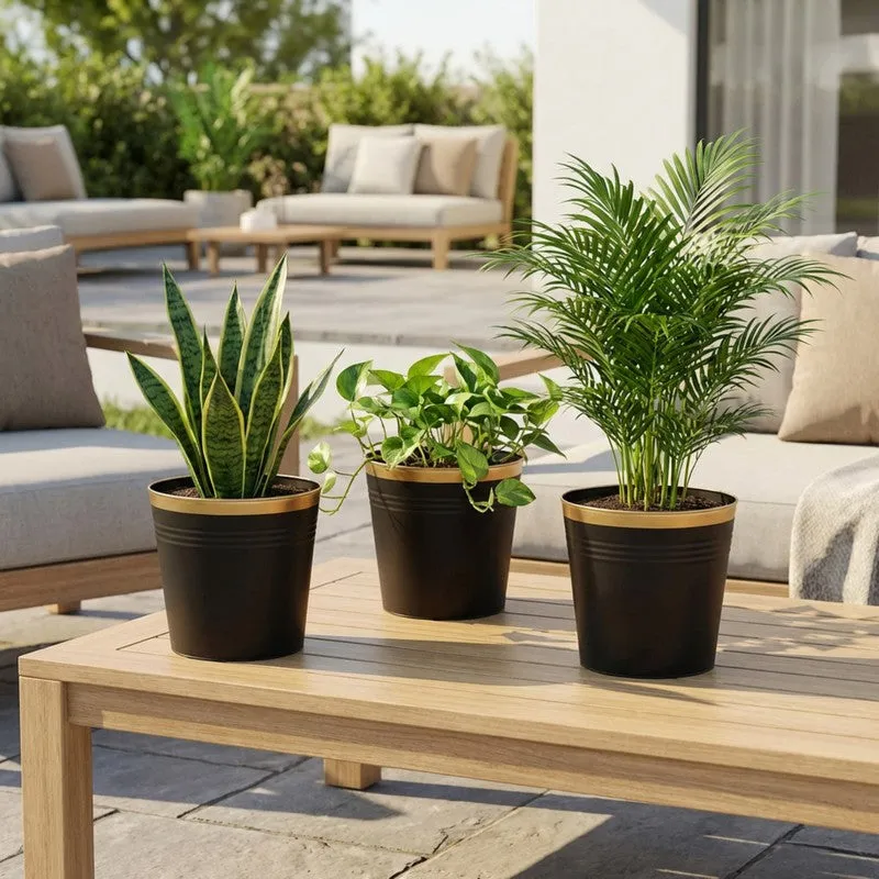 Leafora Iron Planter (Black) - Set Of Three media 4