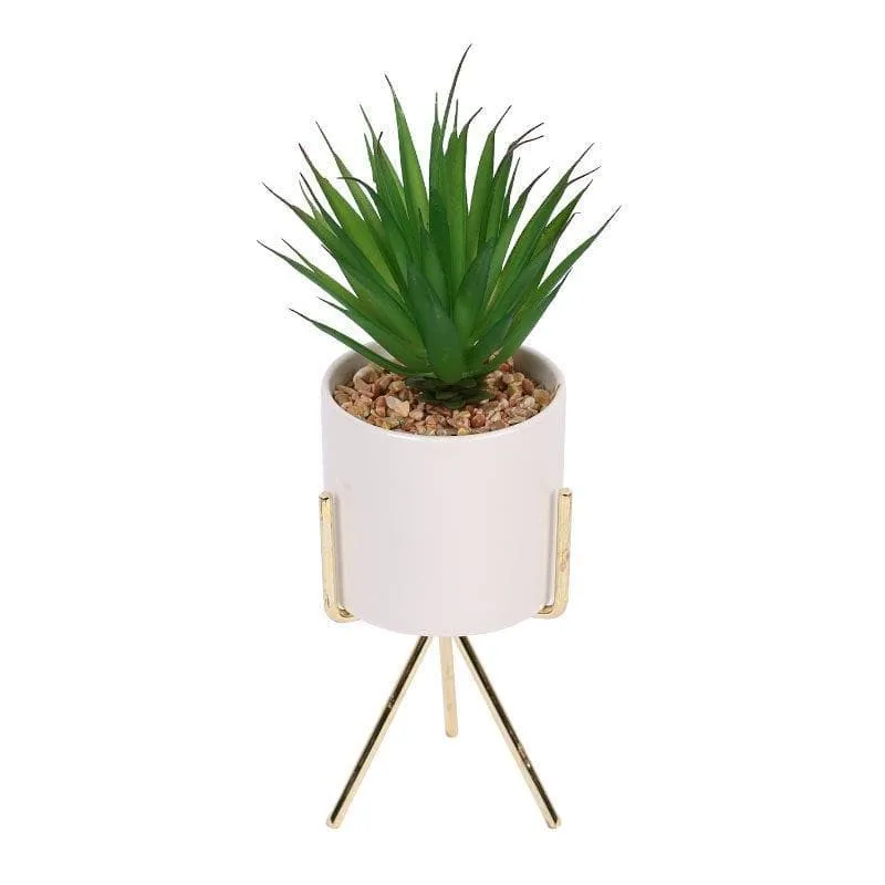 Faux Succulent Leaf In White Pot With Tripod - 24 cms media 4