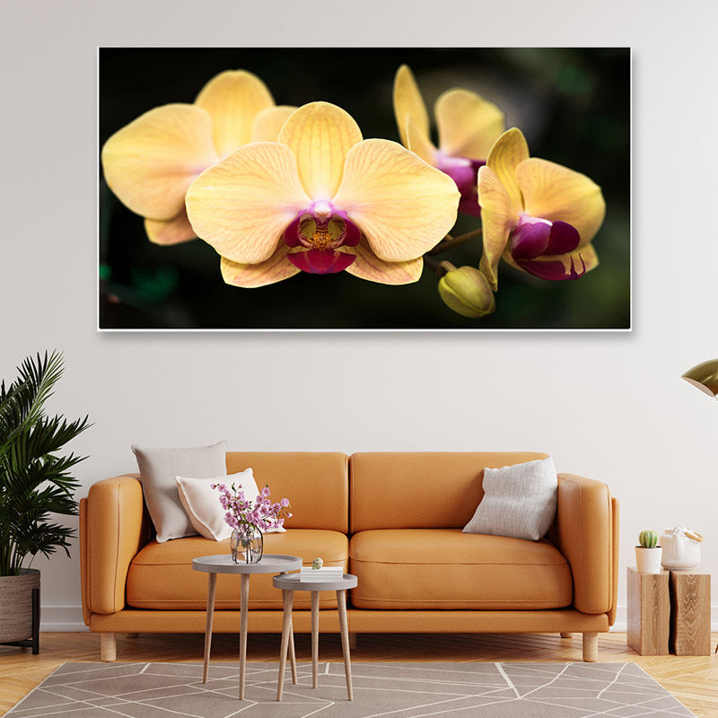 Mellow Orchids Floral Wall Painting