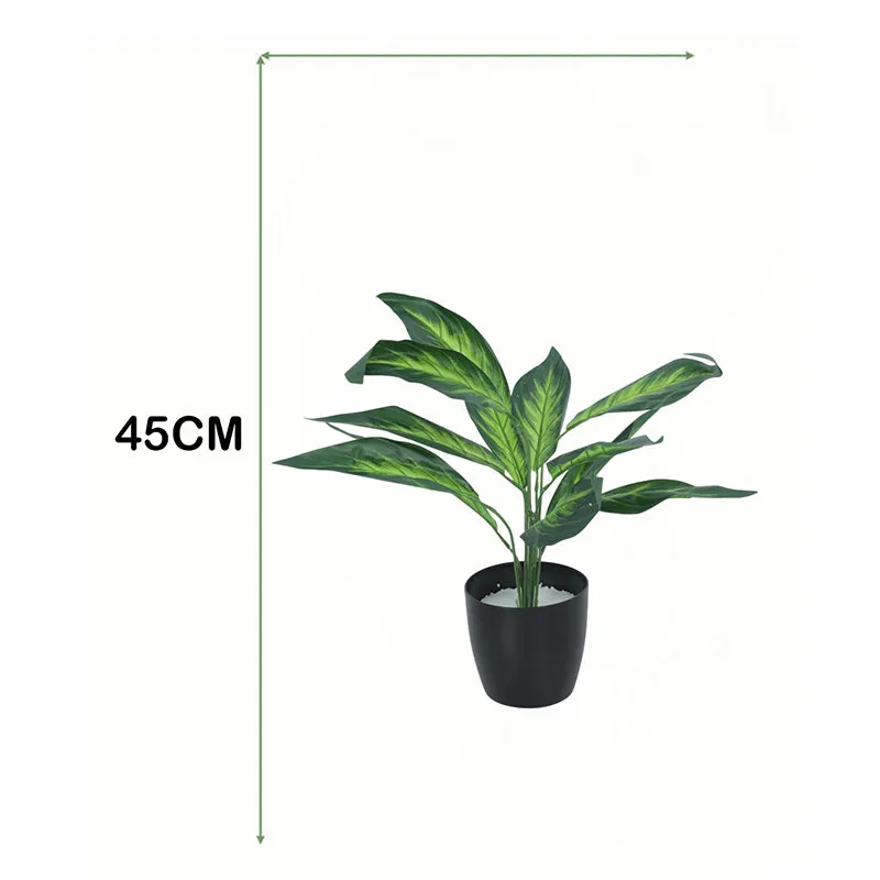 Fernette Artificial Plant With Black Plastic Pot - 1.6 Feet media 5