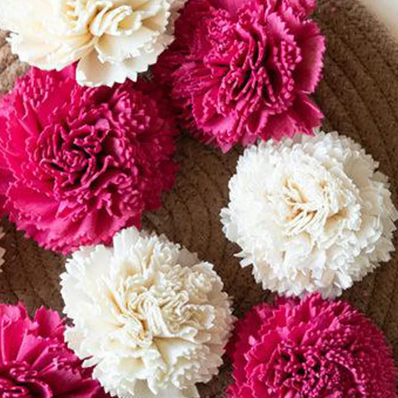Berta Carnation Sola Flower (Pink & White) - Set Of Ten media 5