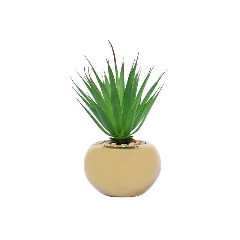 Faux Agave In Round Ceramic Pot - 14.5 cms media 4