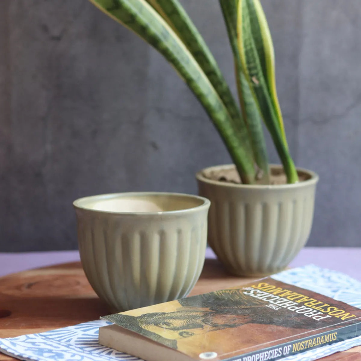 Two green ribbed ceramic planters styled with a book and snake plant
