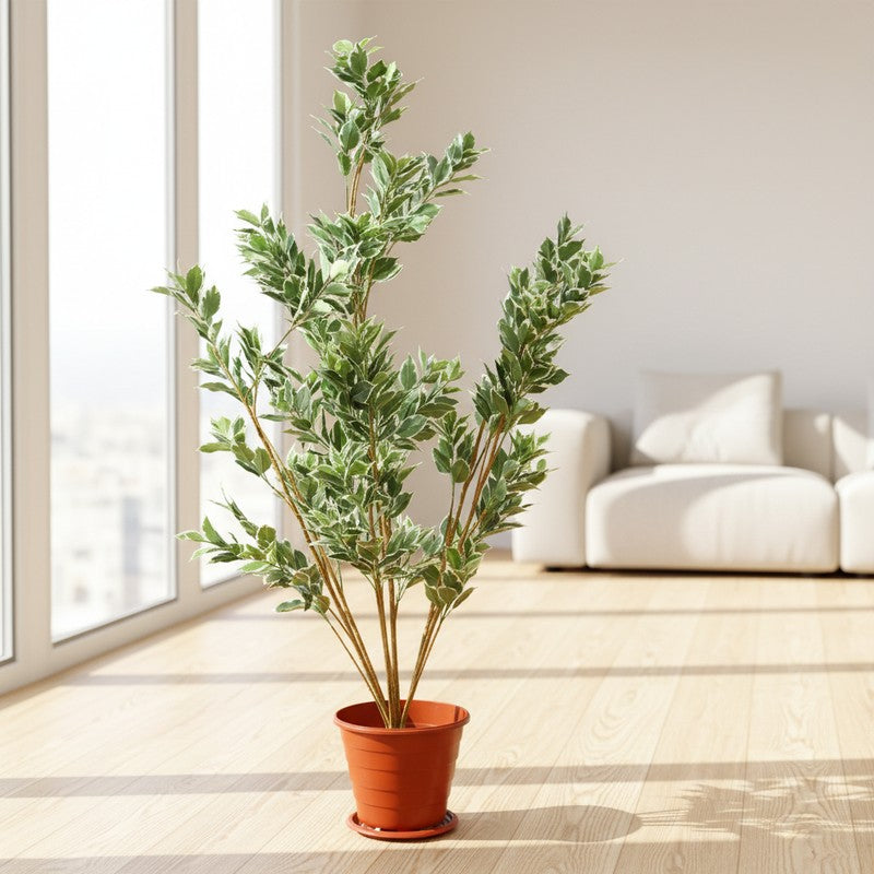 EverBloom Artificial Plant Without Pot - 4.9 Feet media 4