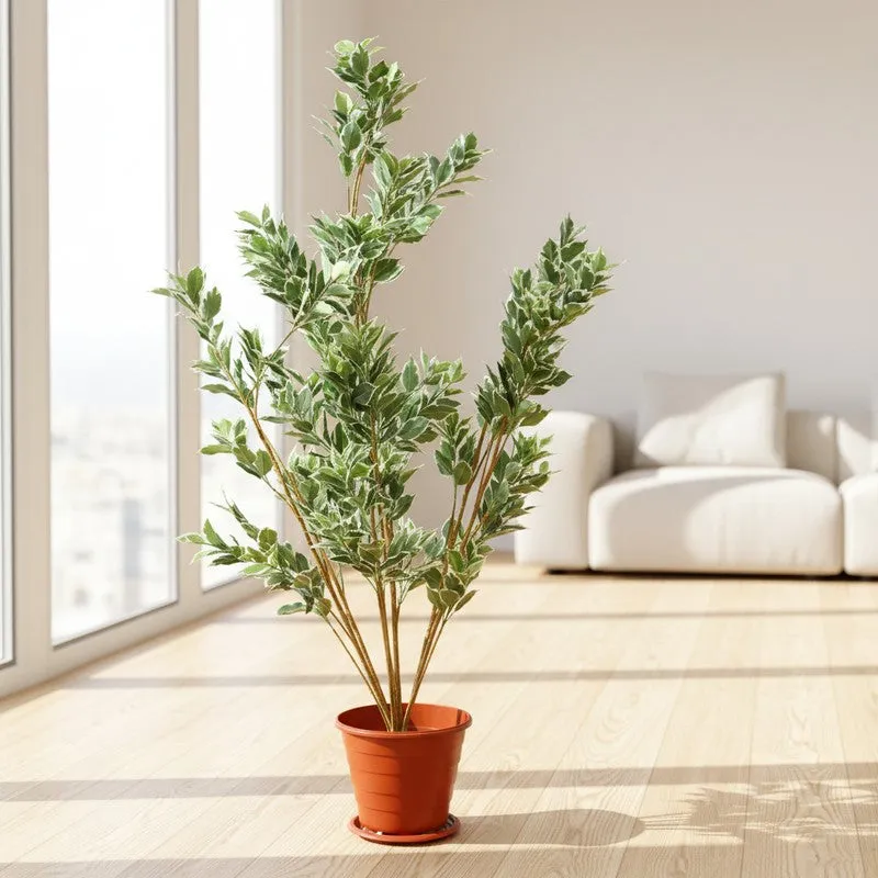 EverBloom Artificial Plant Without Pot - 4.9 Feet media 4