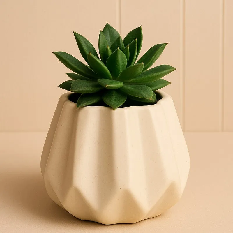 Liora Earthtone Ceramic Vase media 5