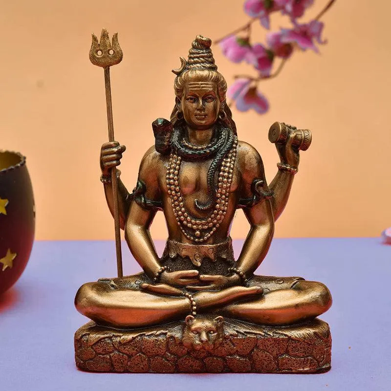Shiva Bronzwe Idol media 1