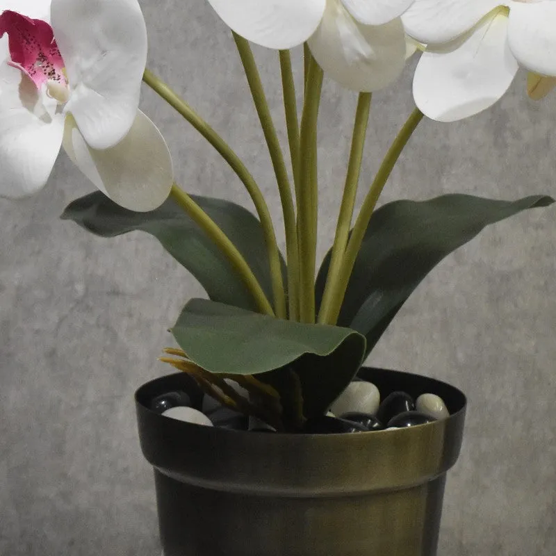 Realistic Artificial Orchid Flower Bunches - White & Green media 3