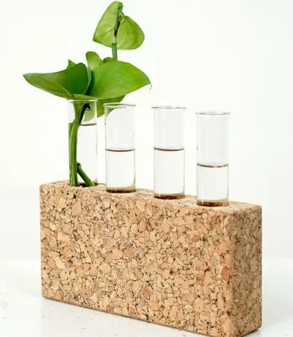 Cork