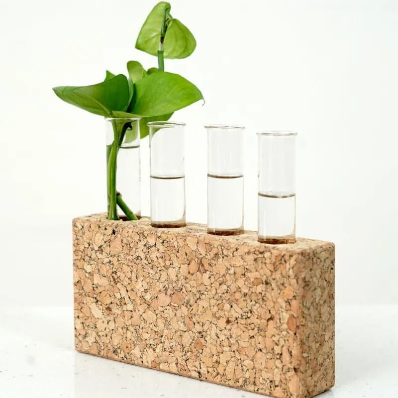 Nexo Cork Testube Planter media 1