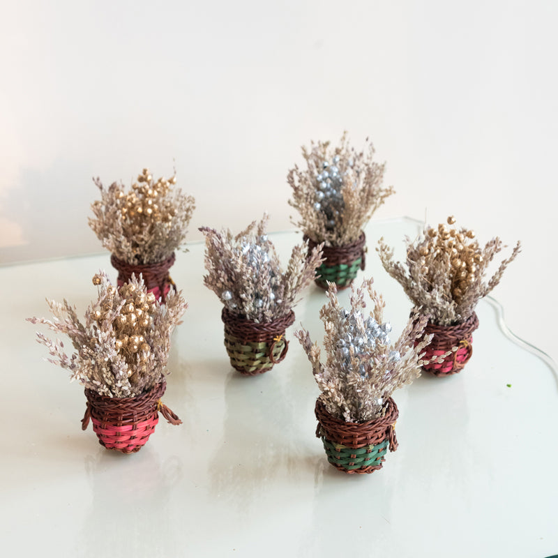 Dried Flowers & Leaves