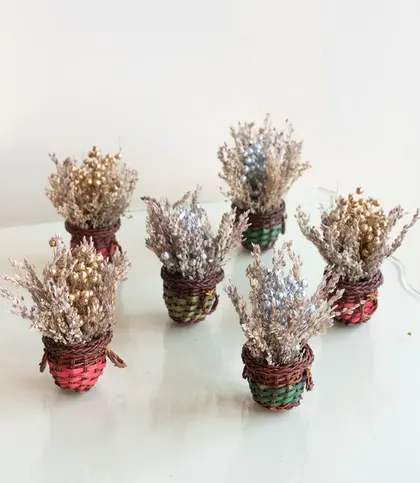 Dried Flowers & Leaves
