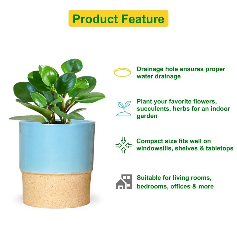 Abinsha Ceramic Pot - Blue media 4