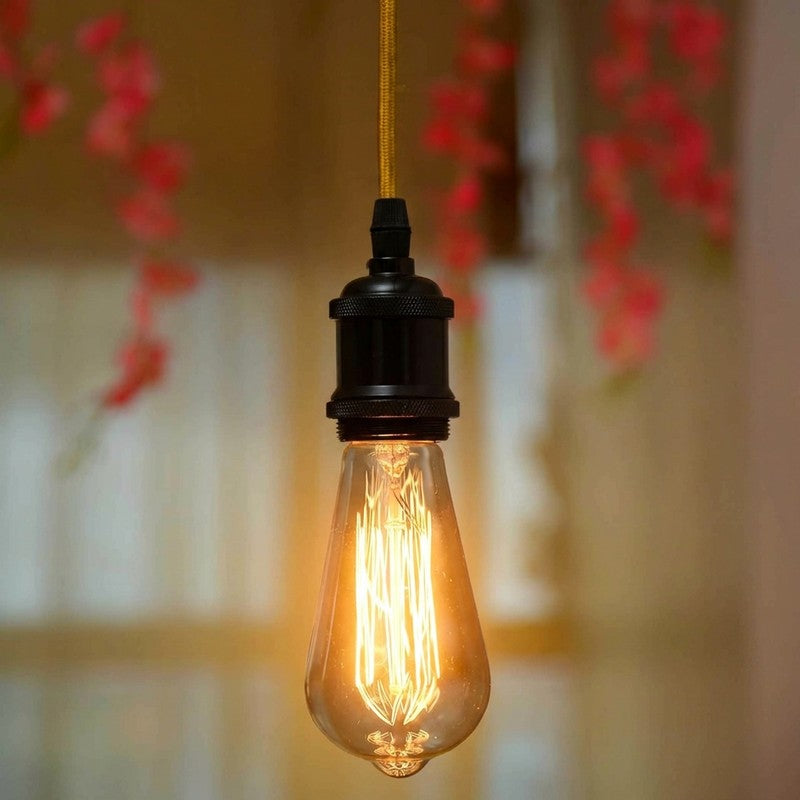 Filamenta Squirrel 40W Bulb