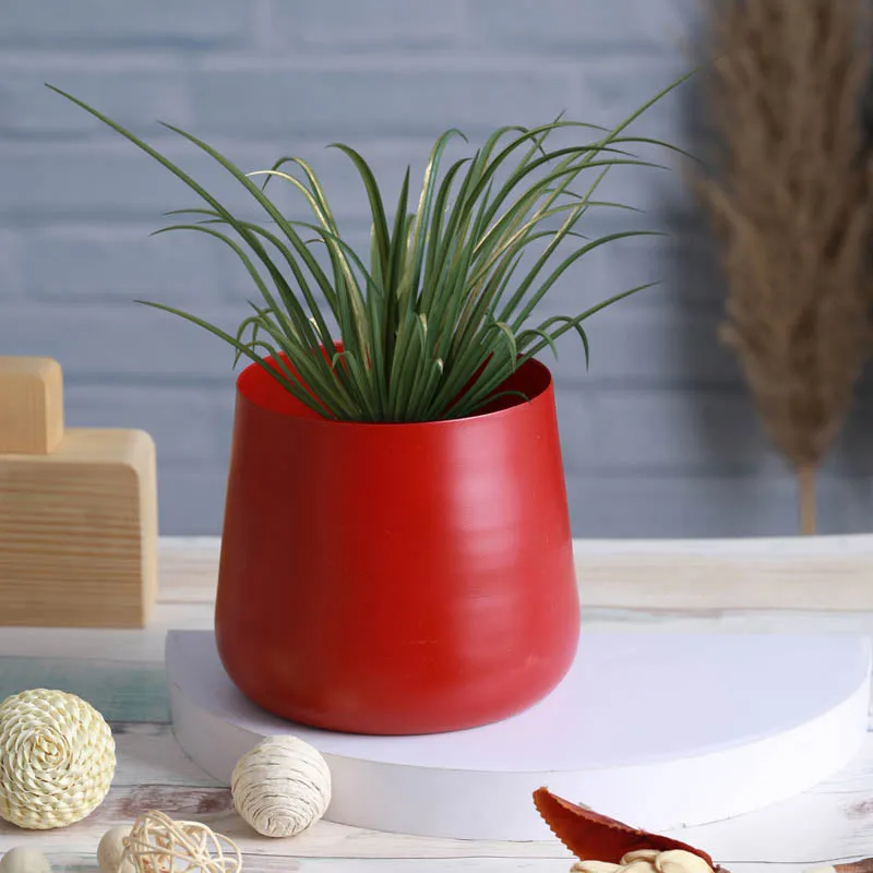 Melva Handcrafted Planter - Red media 5