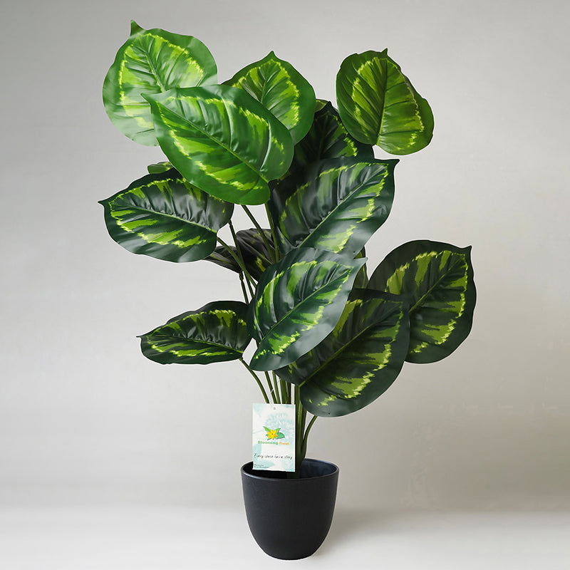 Faux Everlasting Micans Philodendron Plant With Black Plastic Pot - 74 cm (2.4 ft) media 4