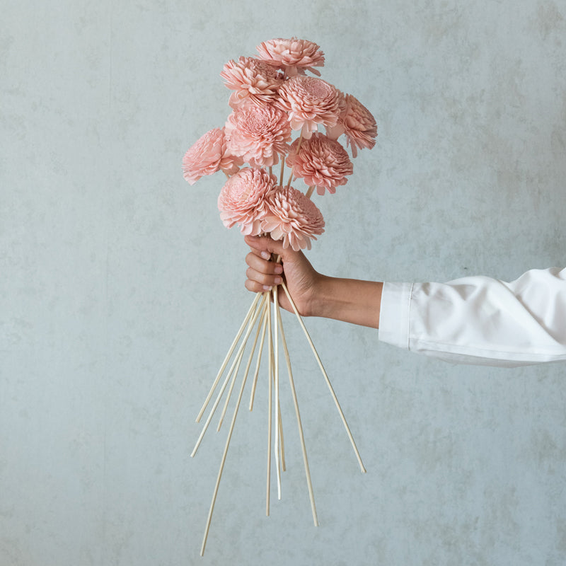 Dried Flowers & Leaves